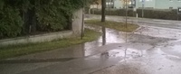 Fotobeitrag