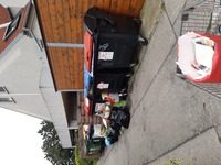 Fotobeitrag