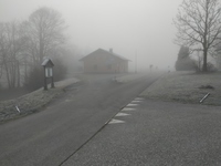 Fotobeitrag
