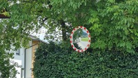 Fotobeitrag