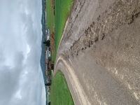 Fotobeitrag