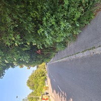 Fotobeitrag