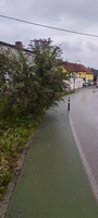 Fotobeitrag