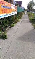 Fotobeitrag