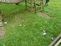 Fotobeitrag